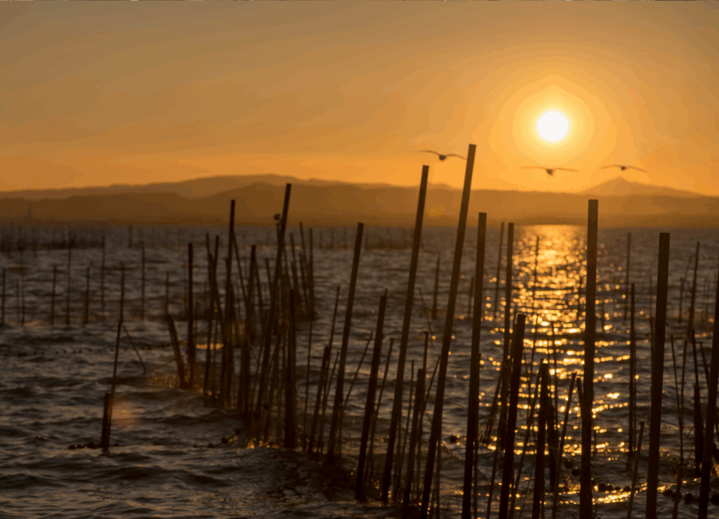 Lugares imprescindibles en Valencia: La Albufera