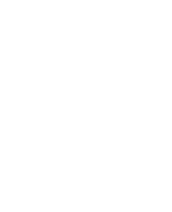 Logo Palacio Vallier 